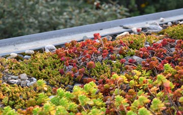 the cost of Allanshaws green roof installation