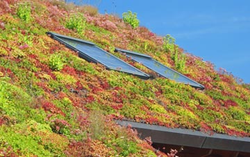 Allanshaws living roof systems