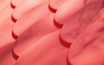 Allanshaws plastic roof costs